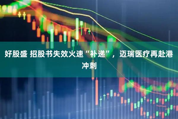 好股盛 招股书失效火速“补递”，迈瑞医疗再赴港冲刺