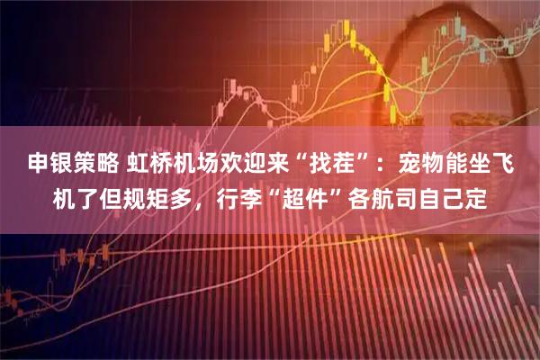 申银策略 虹桥机场欢迎来“找茬”:宠物能坐飞机了但规矩多,行李“超件”各航司自己定